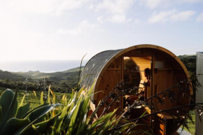 Barrique Studio with Sauna at Barrelled Wines Raglan